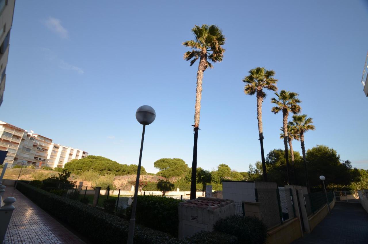 Apartamento 055 Paradise Vacation - AC/WIFI La Mata  Exterior foto